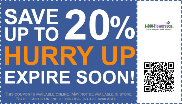 1 800 FLOWER COM COUPON 1 800 flower com coupon: