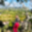 margo_8081