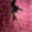 digginsthedancingqueen