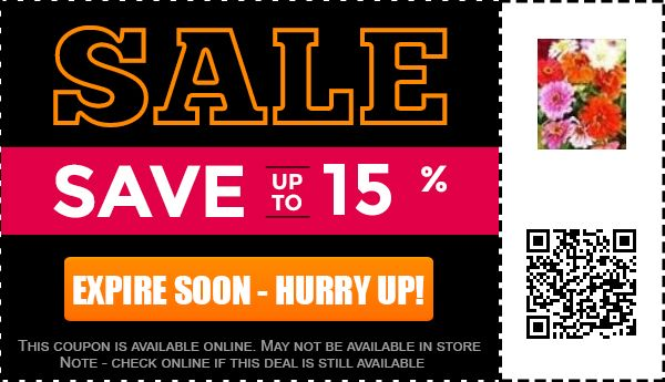 10 Off In Bloom Coupon Promo Code Nov 2020