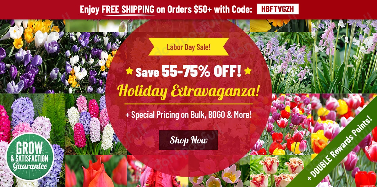 Holland Bulb Farms Coupons (80 Discount) Sep 2021