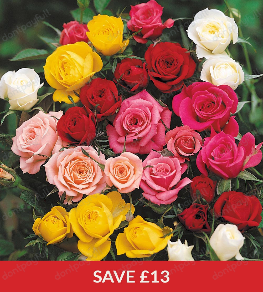 70 Off J Parkers Discount Code, Offer Codes May 2024