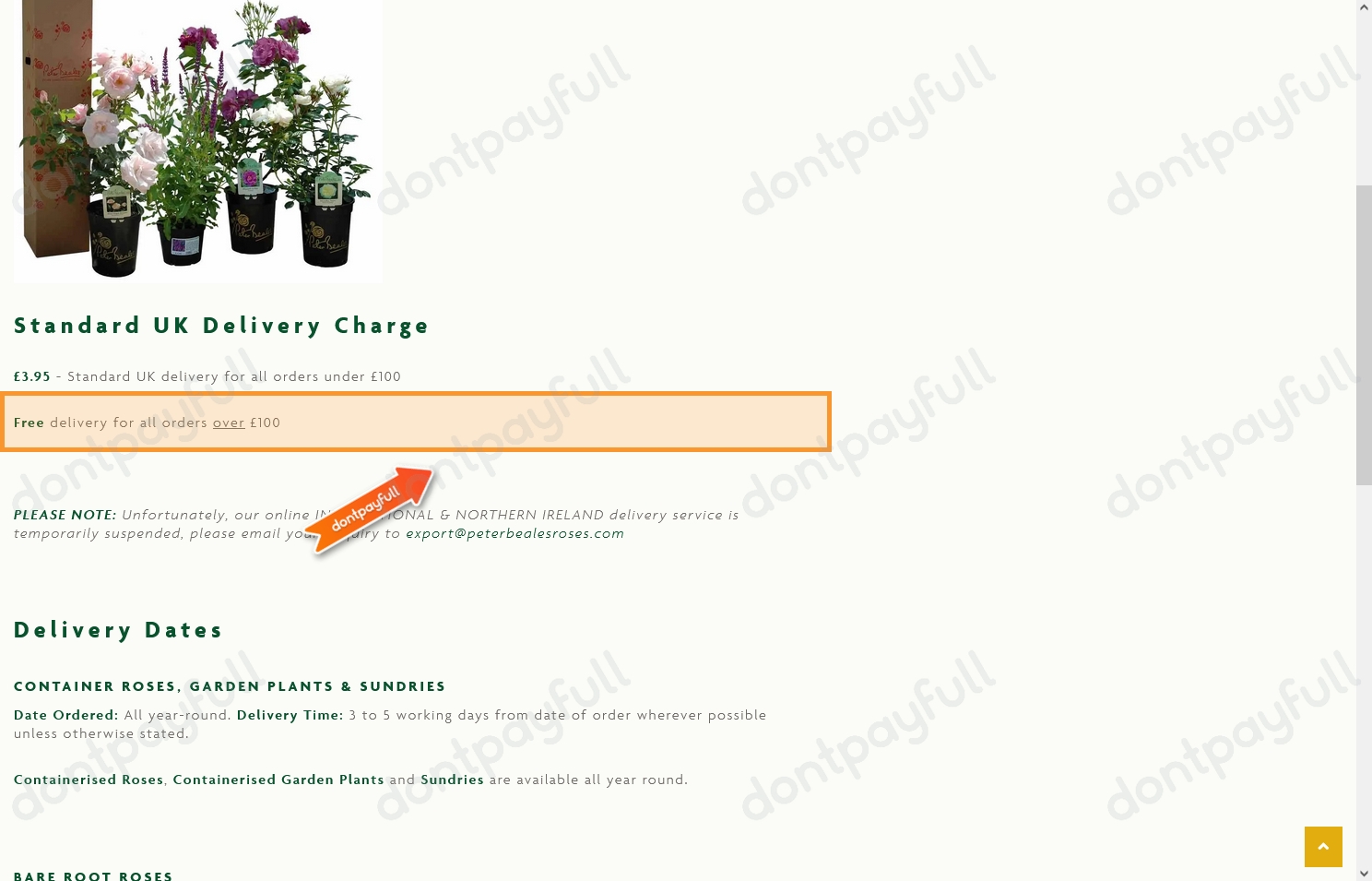 16 Peter Beales Roses Discount Codes, Promo Codes