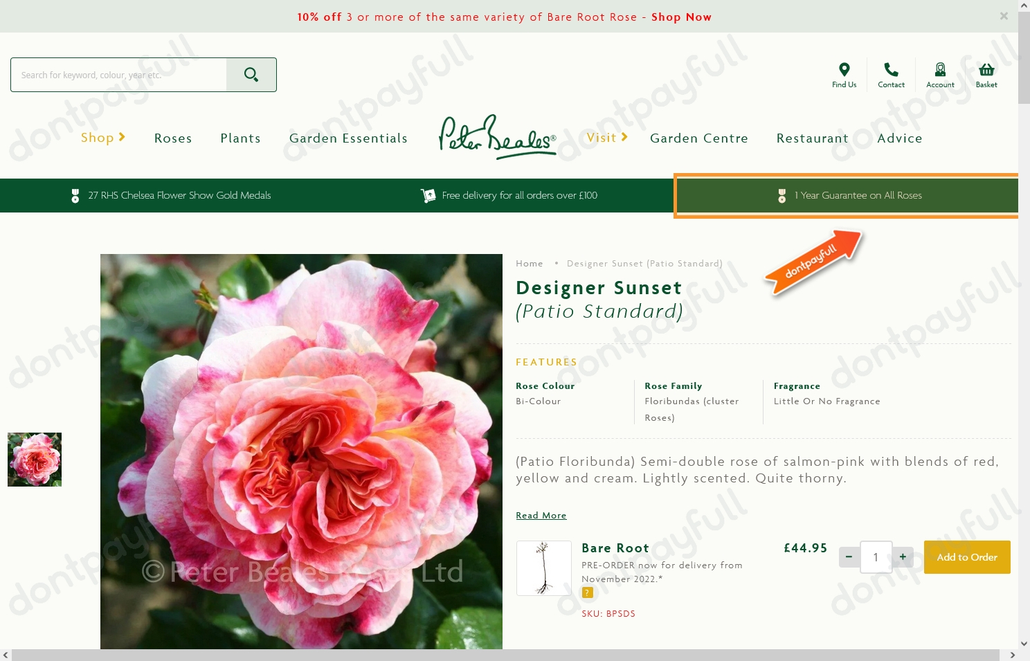 14 Peter Beales Roses Discount Codes, Promo Codes