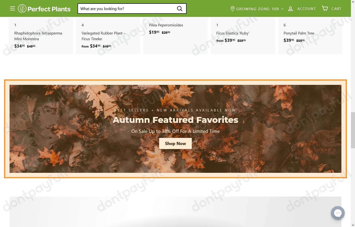 88 Off Perfect Plants DISCOUNT CODES, September 2024