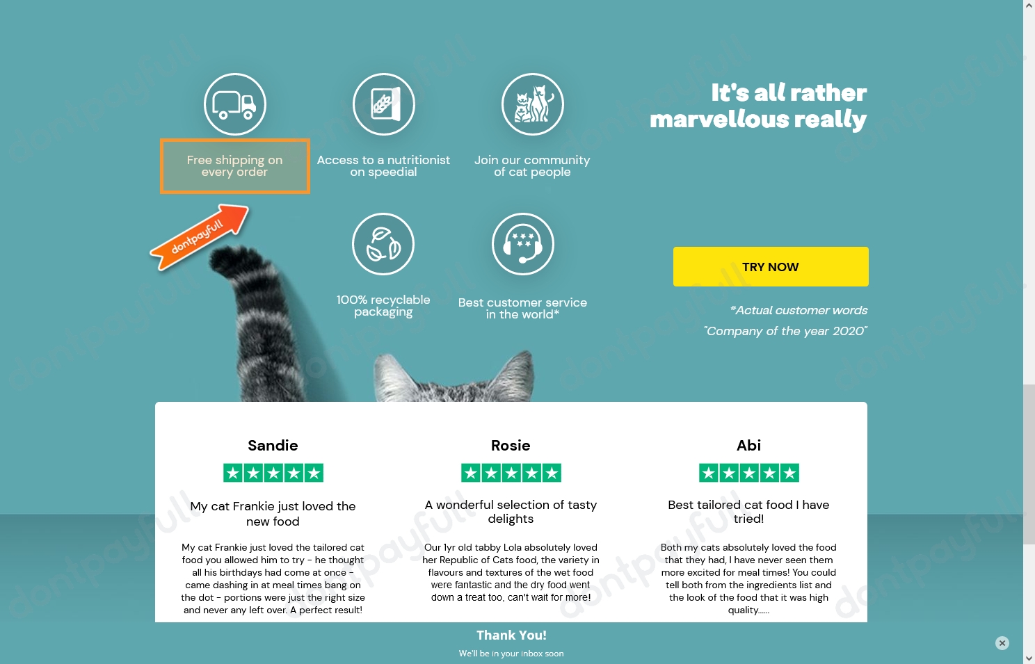 67 Off Republic of Cats DISCOUNT CODES, October 2024