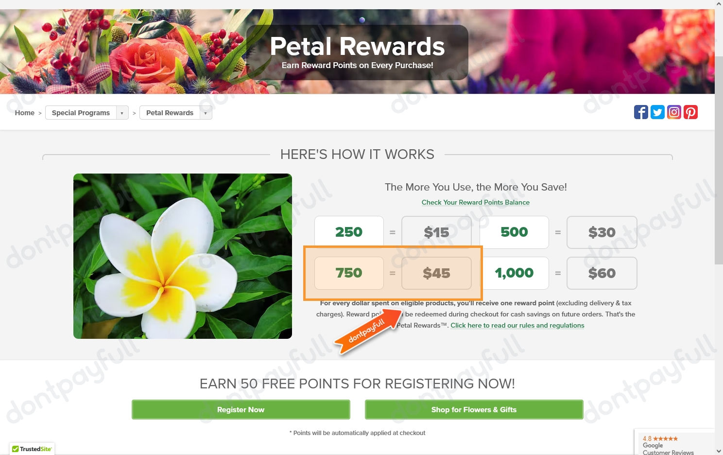 20 Off Phoenix Flower Shops Promo Codes, October 2024