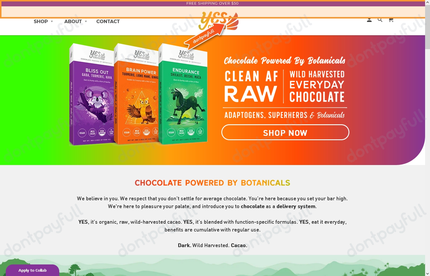 20 Off YES Cacao COUPONS (24 Active) September 2024