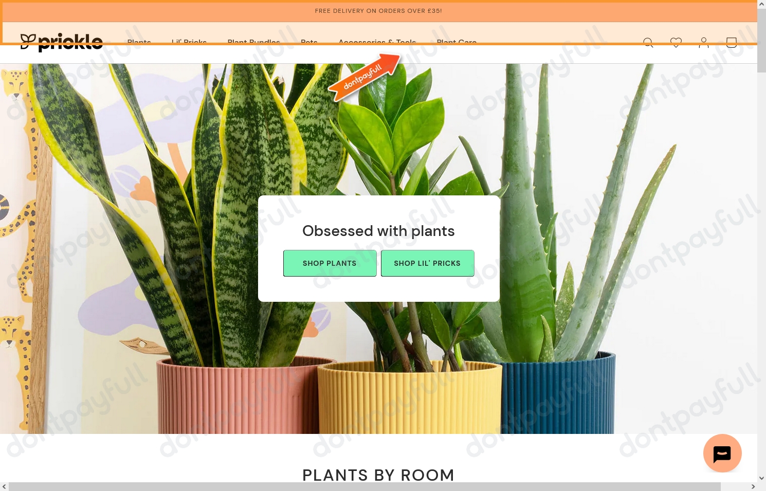 14 Off Prickle Plants COUPON ⇨ (12 ACTIVE) March 2024