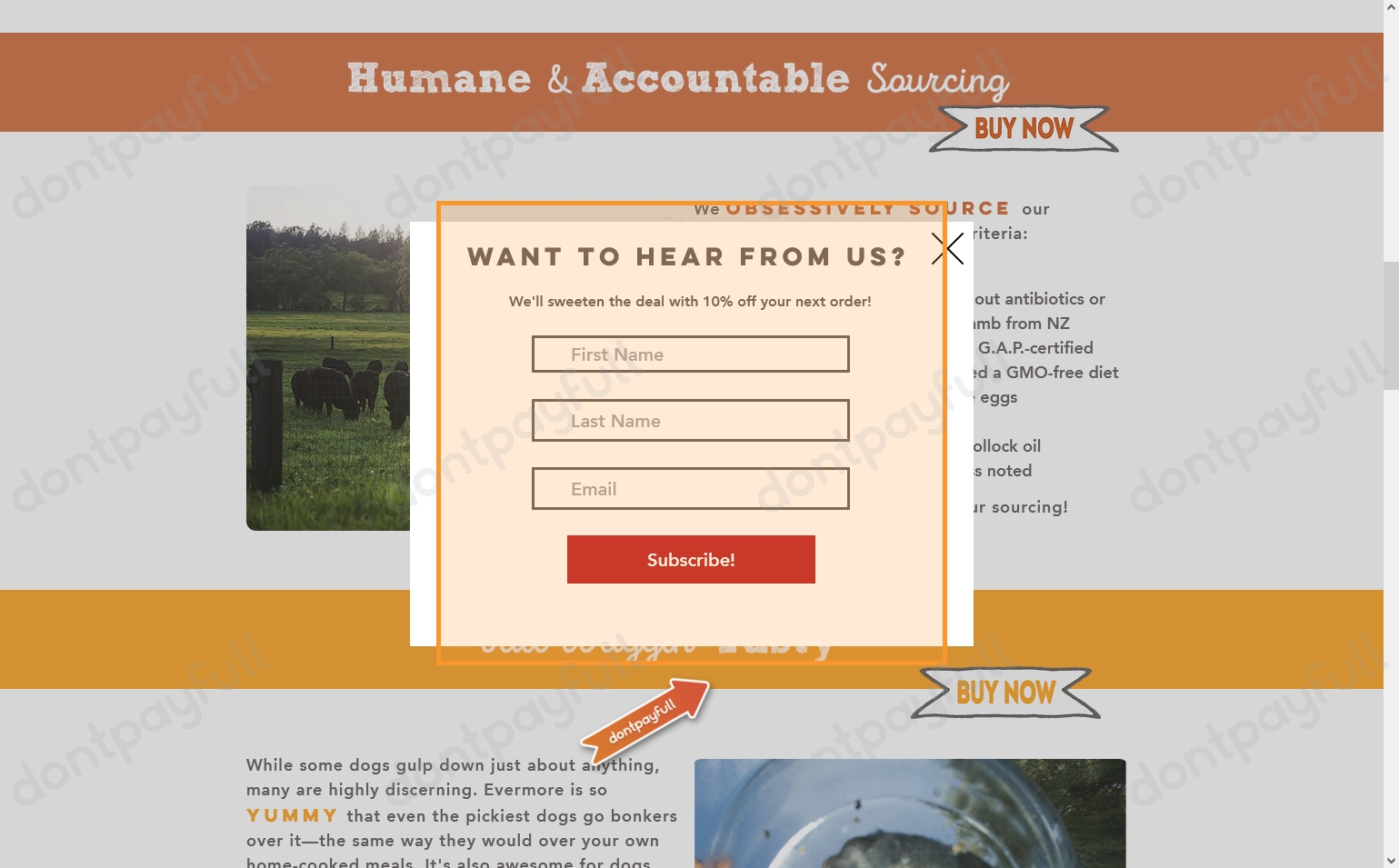 15 Off Evermore Pet Food DISCOUNT CODE ⇨ July 2024