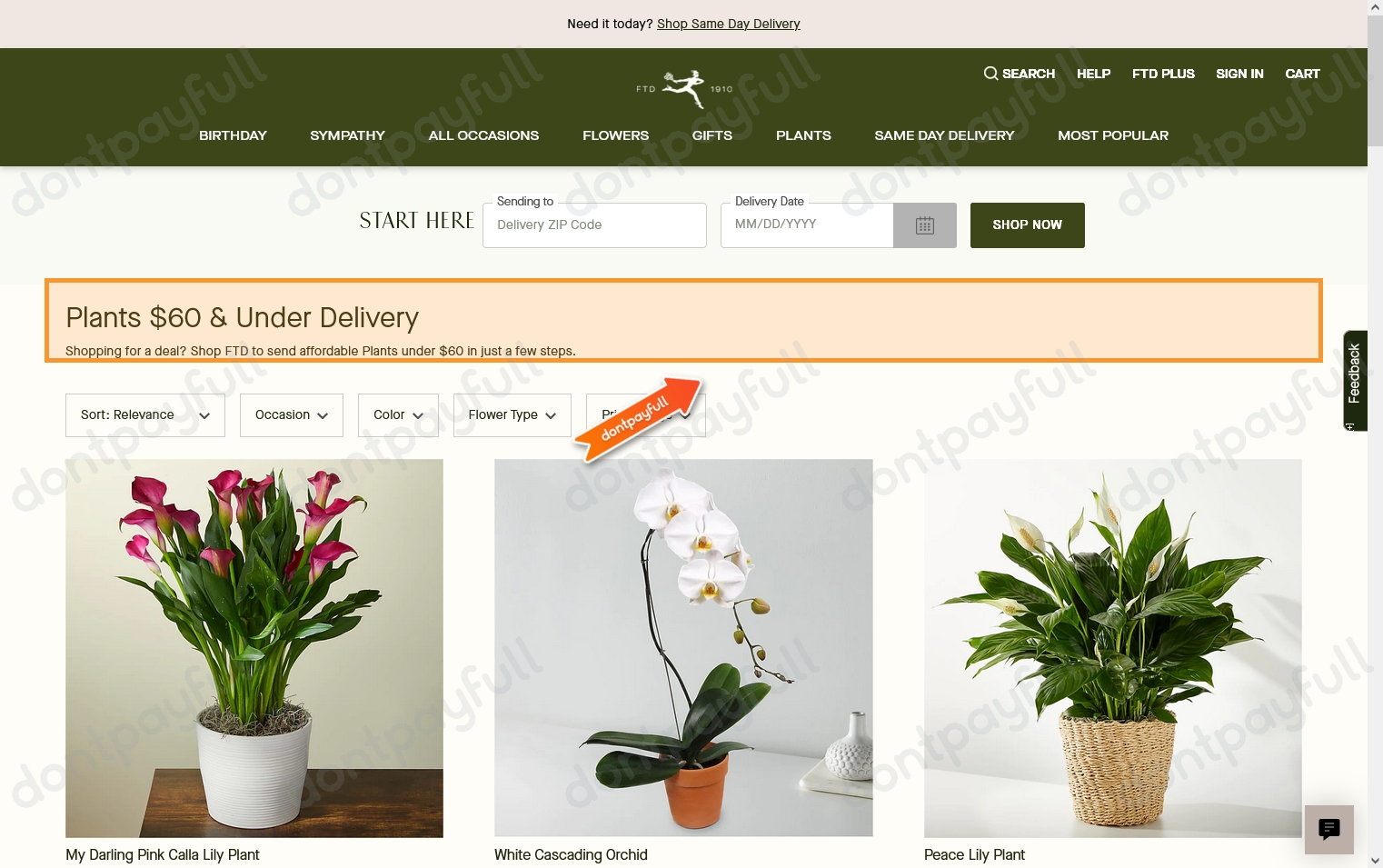 30 Off FTD Flowers Coupon Code, Promo Codes 2024