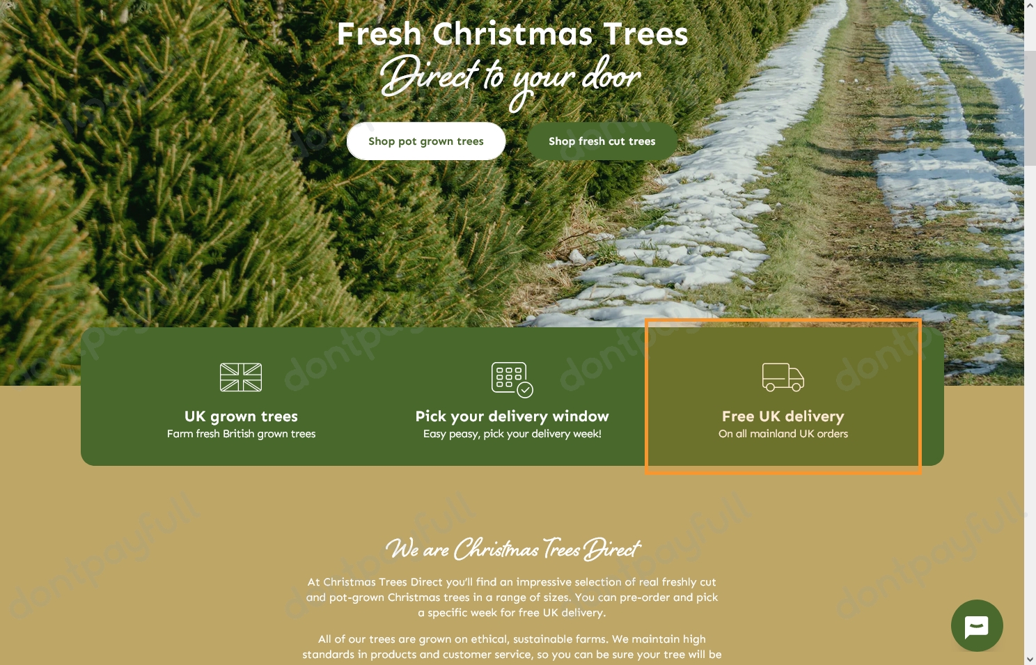 13 Christmas Trees Direct Discount Codes, Promo Codes