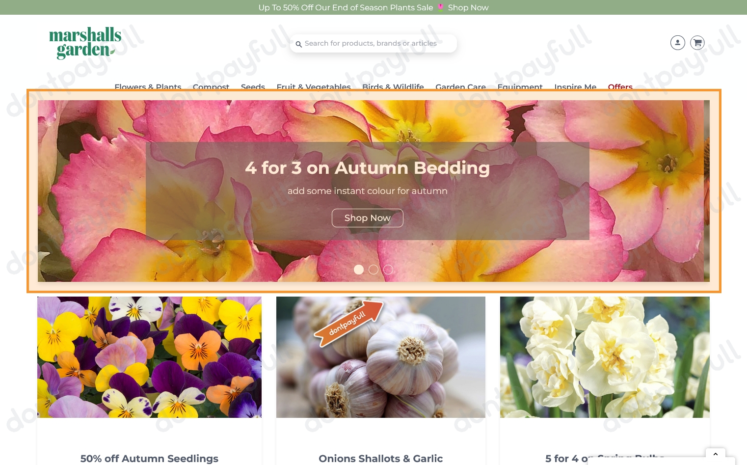 75 Off Marshalls DISCOUNT CODES ⇨ September 2024