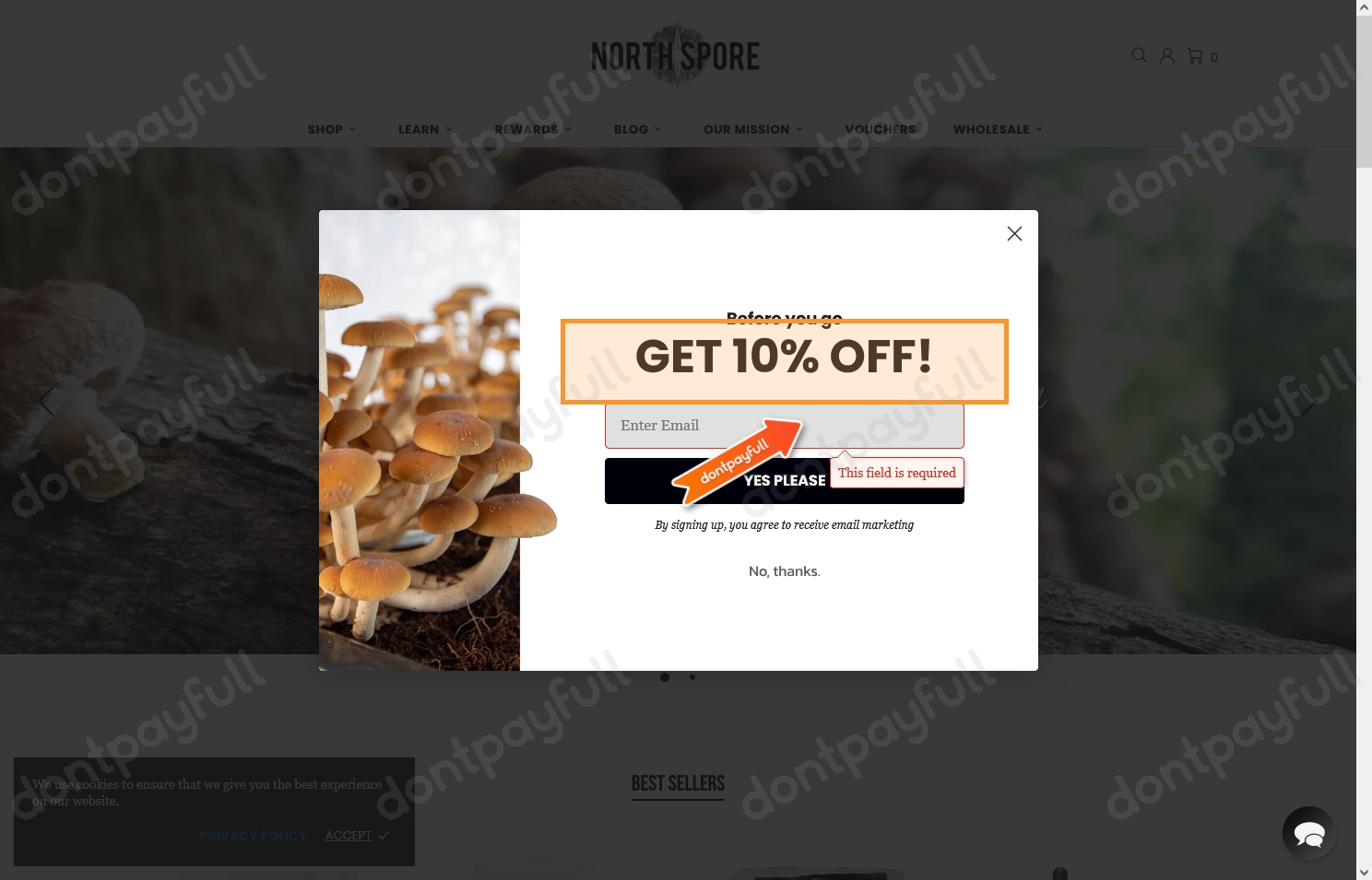 44 Off North Spore DISCOUNT CODES ⇨ September 2024