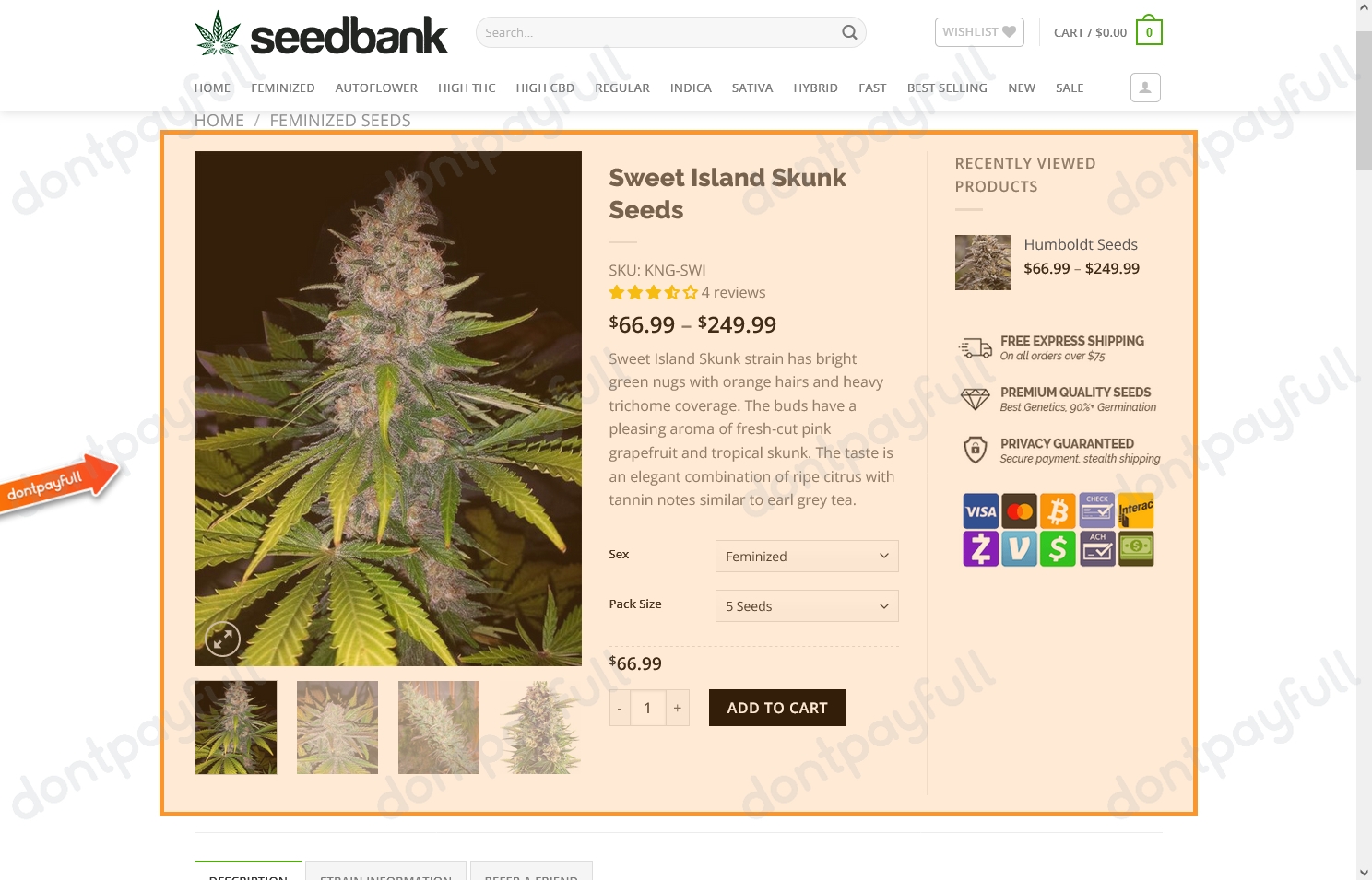 25 Off Seed Bank COUPON CODES ⇨ October 2024