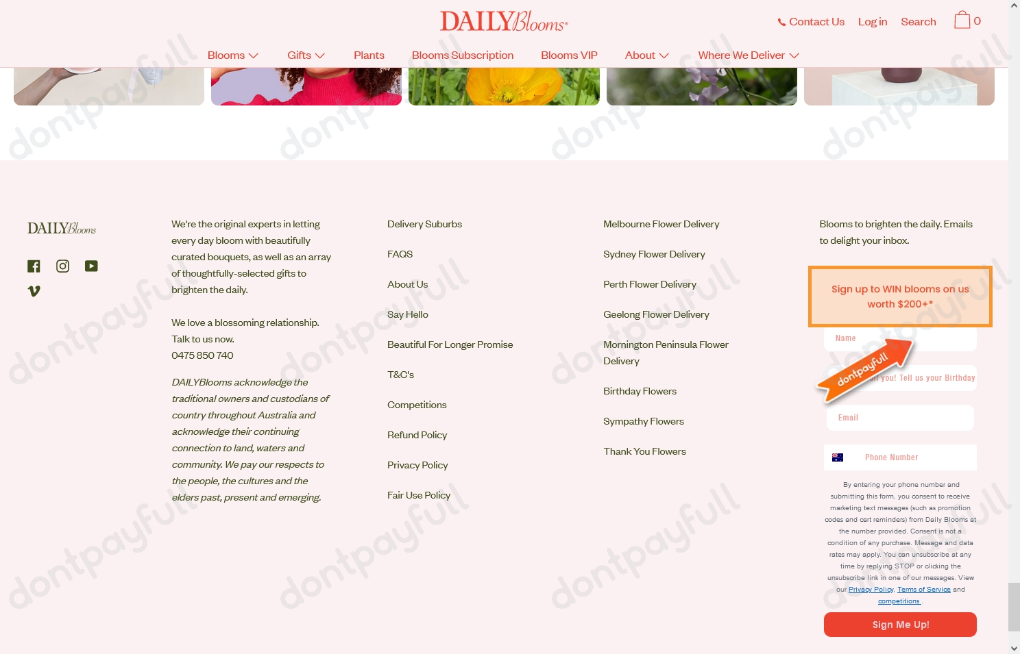 15 Off Daily Blooms DISCOUNT CODES ⇨ October 2024