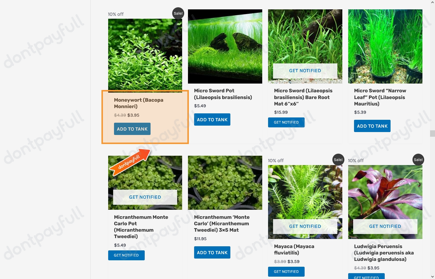 10 Off Aquarium Plants Coupons (22 Active) August 2024