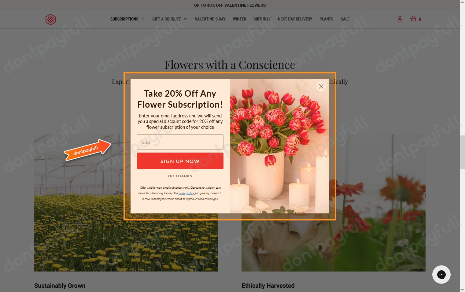 30 Off BloomsyBox DISCOUNT CODES ⇨ September 2024