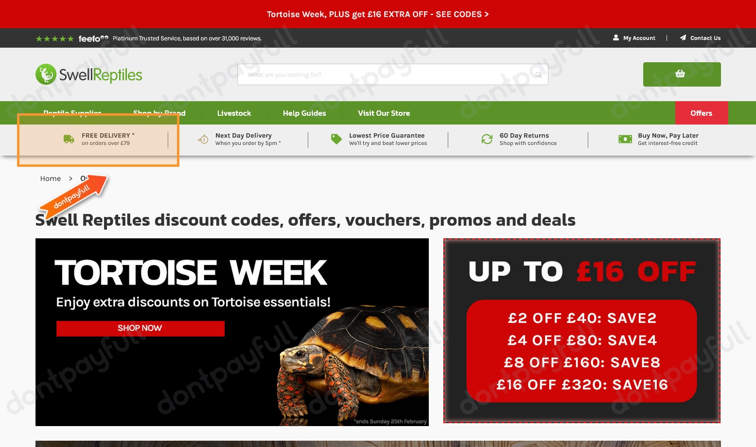 55 Off Swell Reptiles DISCOUNT CODES ⇨ August 2024