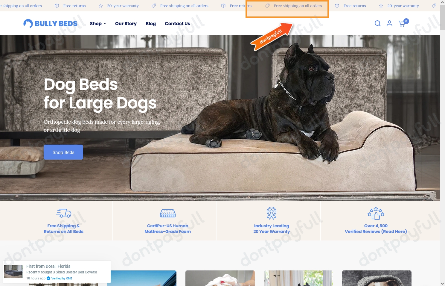 60 Off Bully Beds DISCOUNT CODES ⇨ September 2024