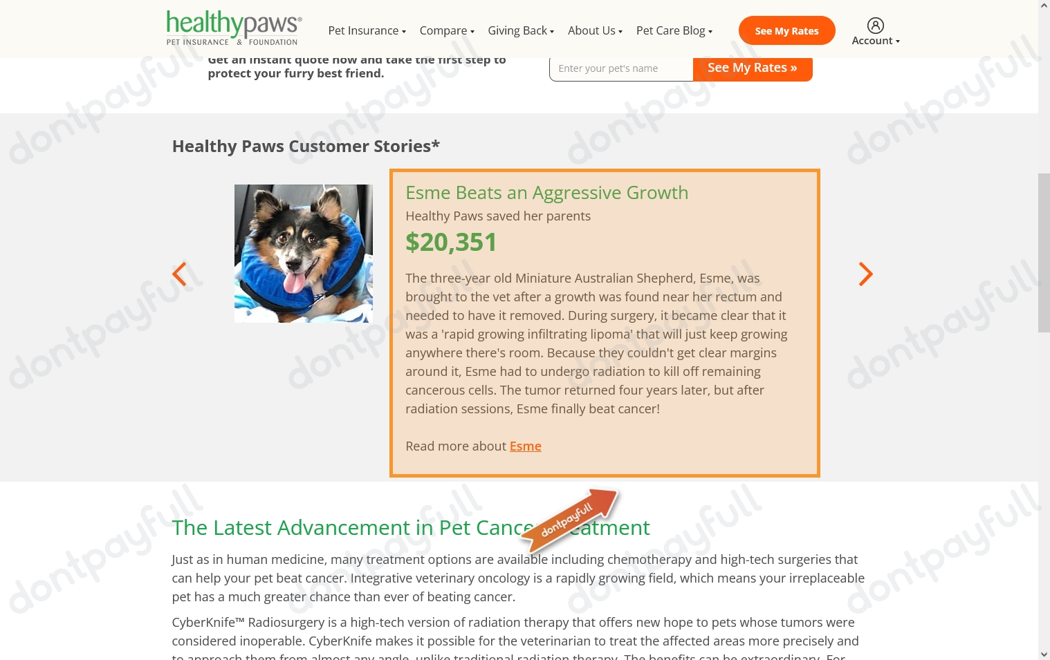 5 Healthy Paws Pet Insurance Promo Codes, Coupons