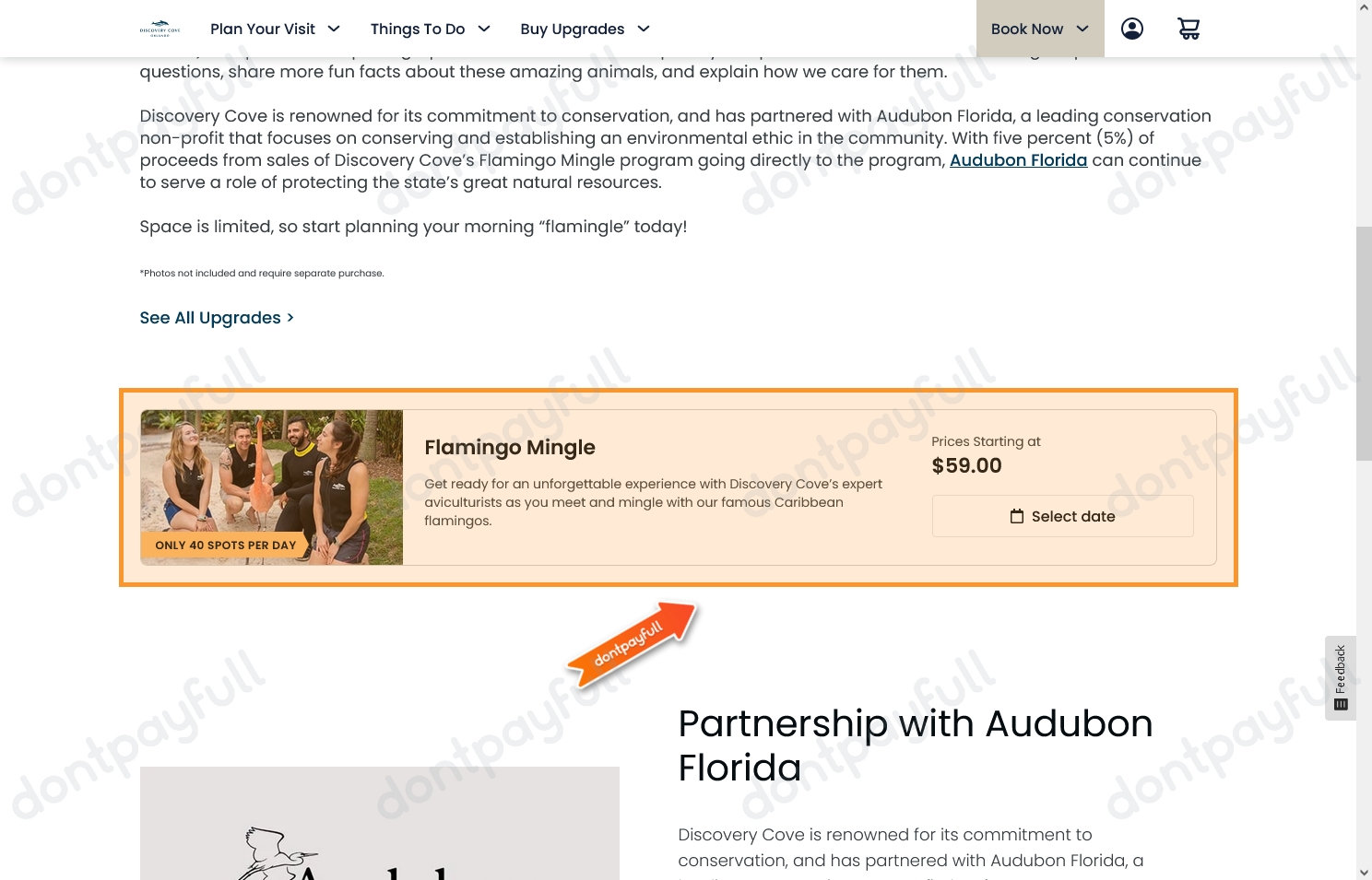 30 Off Discovery Cove PROMO CODES September 2024