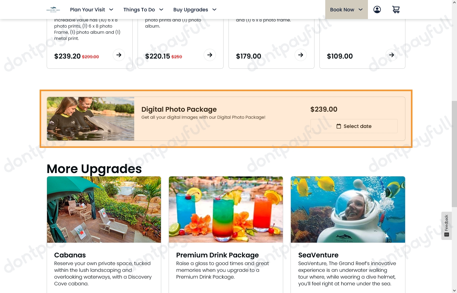 40 Off Discovery Cove PROMO CODES ⇨ October 2024