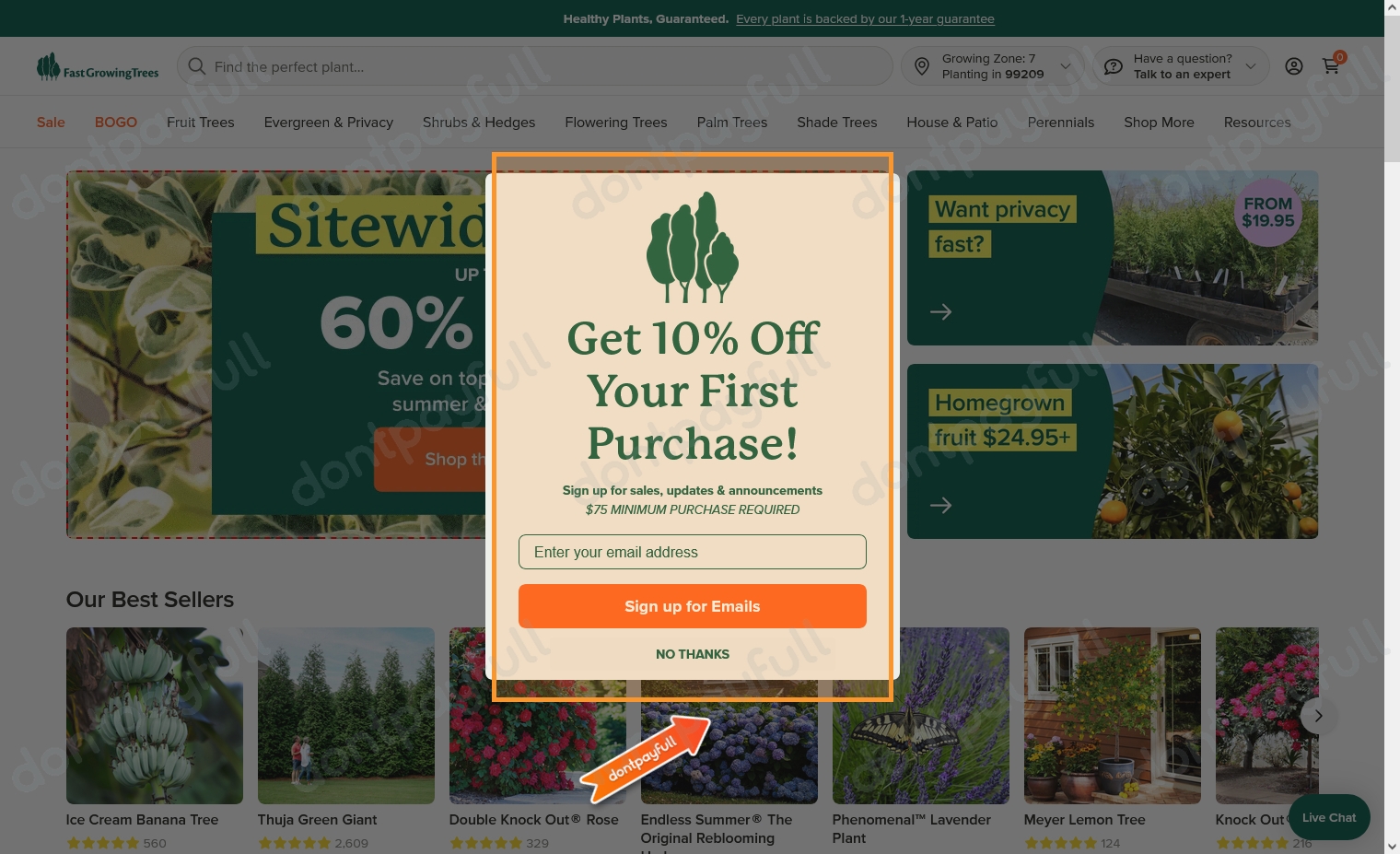 Fast Growing Trees Discount Codes at Wilfred Garner blog